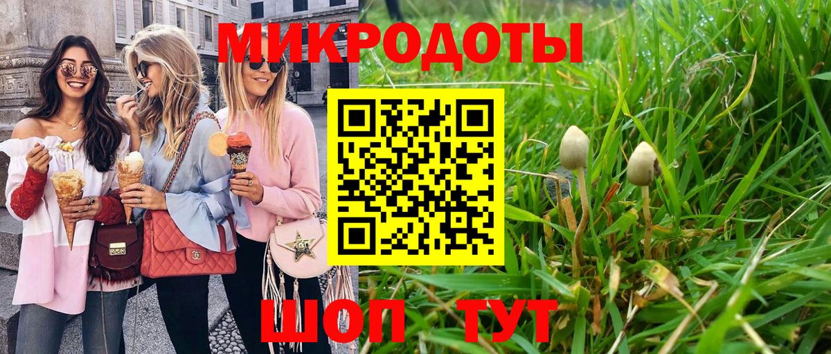 Шали  Псилоцибиновые грибы MAGIC MUSHROOMS  Псилоцибиновые грибы мухоморы  Вход с VPN 