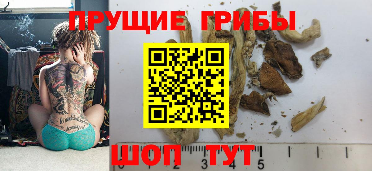 Галлюциногенные грибы GOLDEN TEACHER Шали